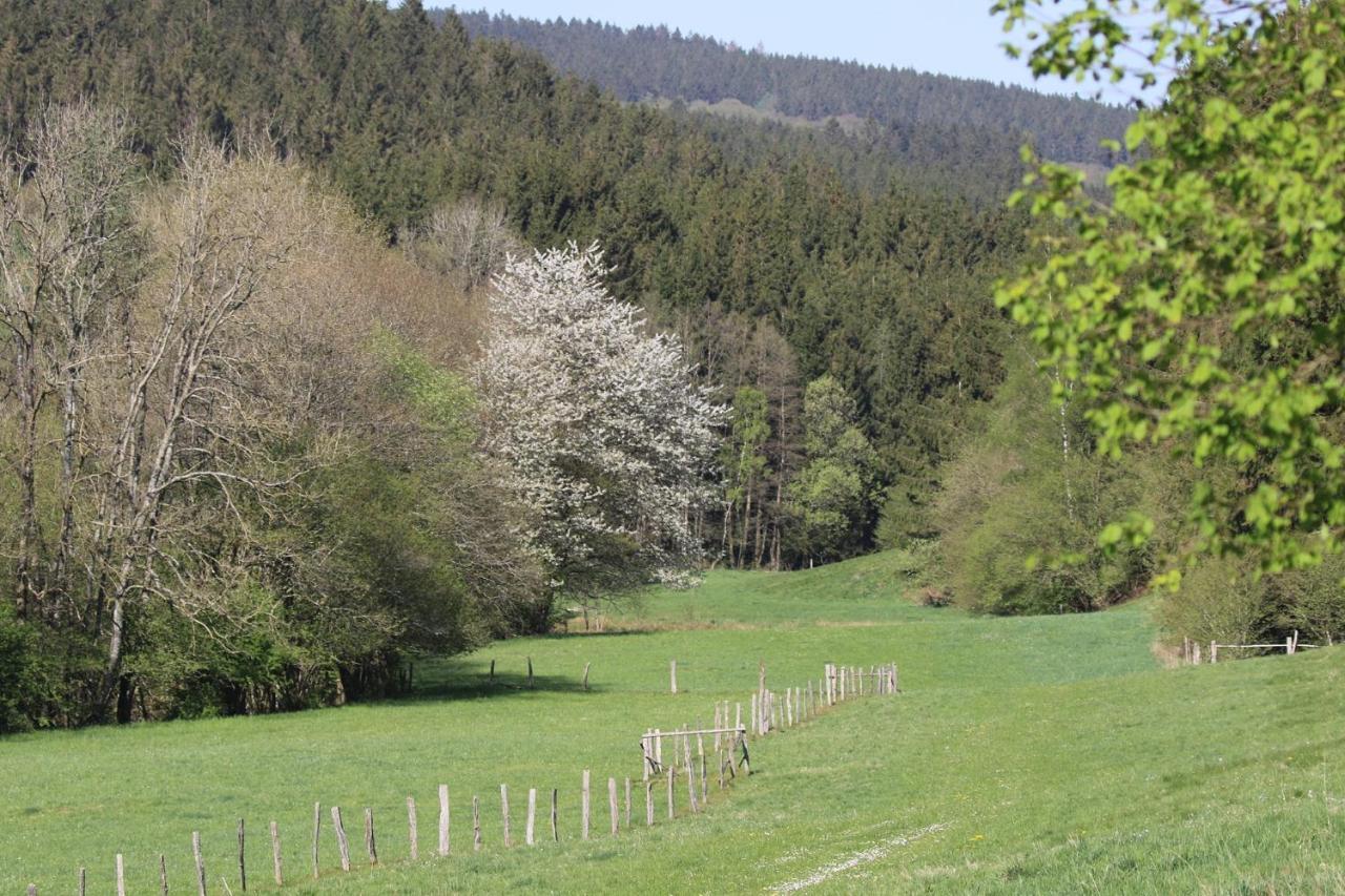 Le Clos Du Cerf - Silence & Nature Stoumont Exterior foto